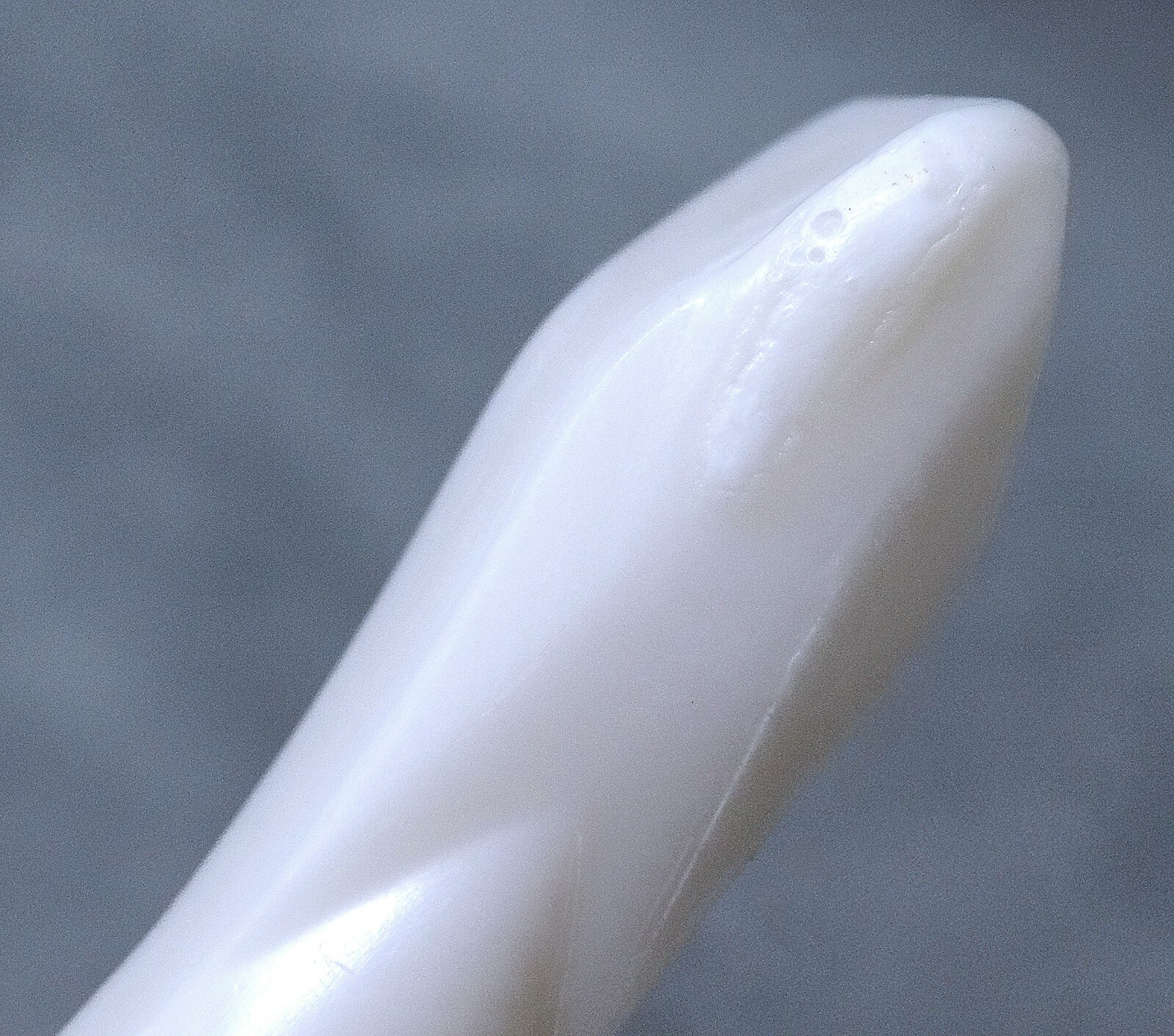 TERRIFIC CUTCO 1714 WHITE HANDLE  MIX STIR WHISK WHIP