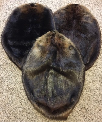 Northern Minnesota Beaver Pelt - Tanned Hide Fur - Extra Large - Free Shipping!