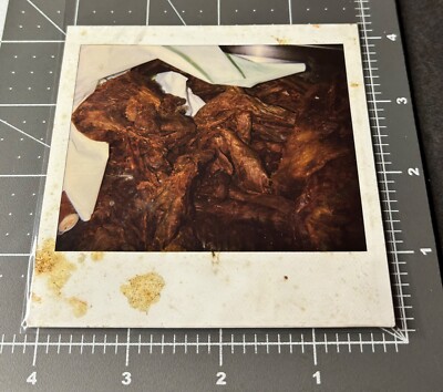 1980s Autopsy Man Body Medical School Post Mortem Vintage Snapshot PHOTO