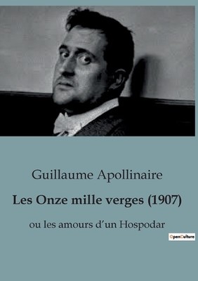 Les Onze mille verges (1907): ou les amours d'un Hospodar by Guillaume Apollinai
