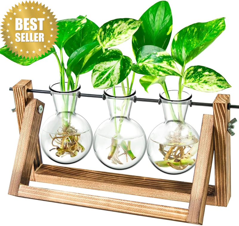 Propagation Station, Plants Terrarium, Plants Lover Gifts,Plant Cutting Holder H