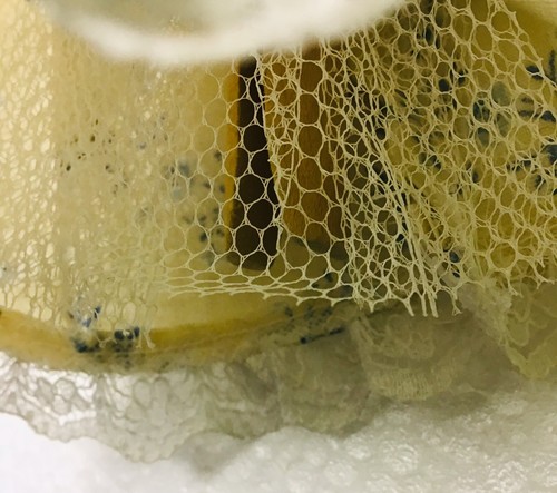 Vintage Southern Belle Clothes Pin Doll With Crinolines and Bonnet