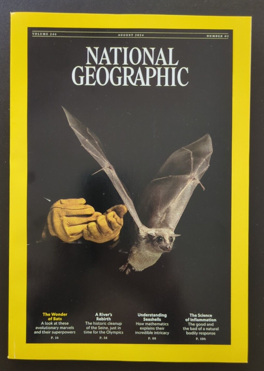 【National Geographic】2021年4月〜2024年8月 81LMYXkxBBL._AC_UL210_SR210,