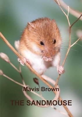 THE Sandmouse by Mavis Brown (English) Paperback Book
