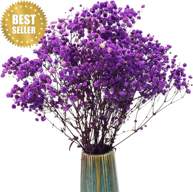 Purple Natural Dried Flowers Babys Breath Bouquet Gypsophila Branches for Home D