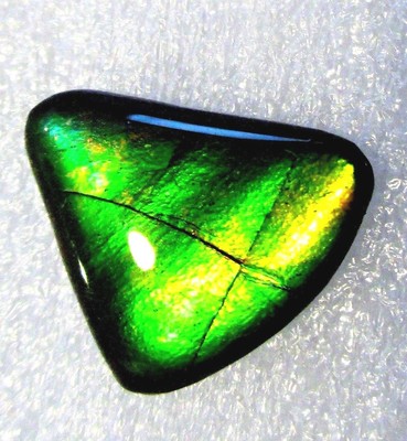 AMMOLITE GEMSTONE 20mm x 15mm