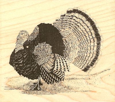 PINECONES PINE BRANCH Wood Mounted Rubber Stamp IMPRESSION OBSESSION F7836 NEW