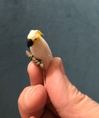 Artikelfoto(s) von einem verifizierten Käufer