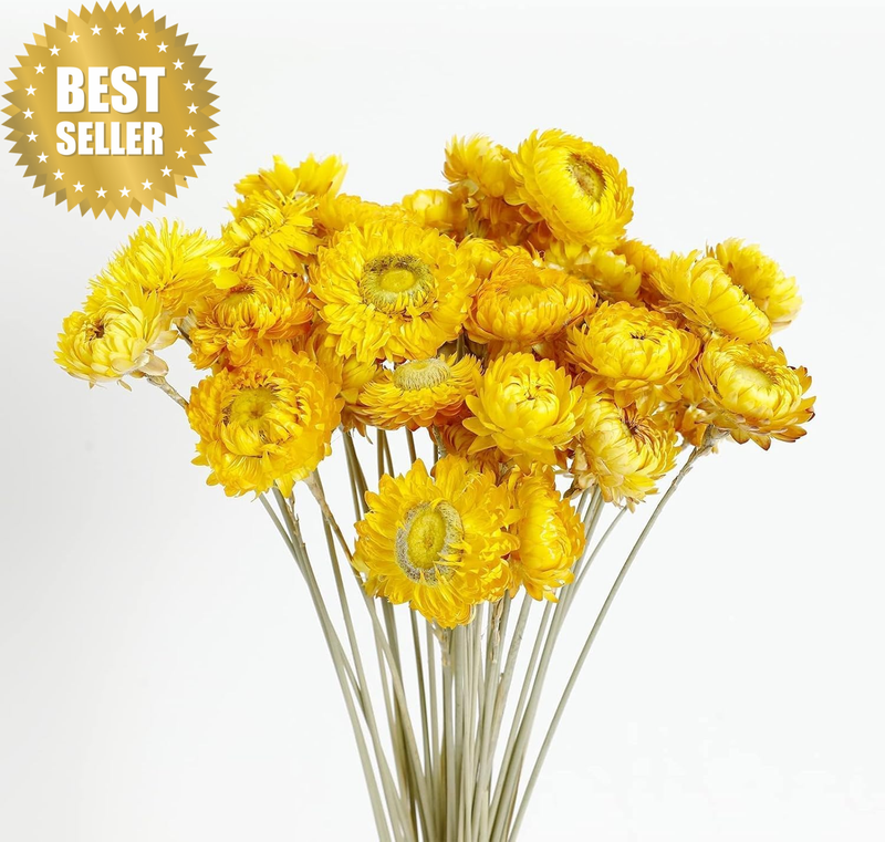 Dried Flower 40PCS Daisy Bouquet Chrysanthemum Flower for Vase Home Décor Party