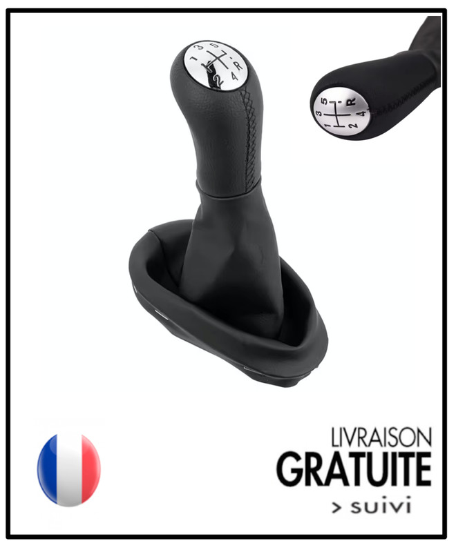 Pommeau Soufflet Levier 5 Vitesses Pour Renault Clio 3 Megane 2 Scenic Kangoo