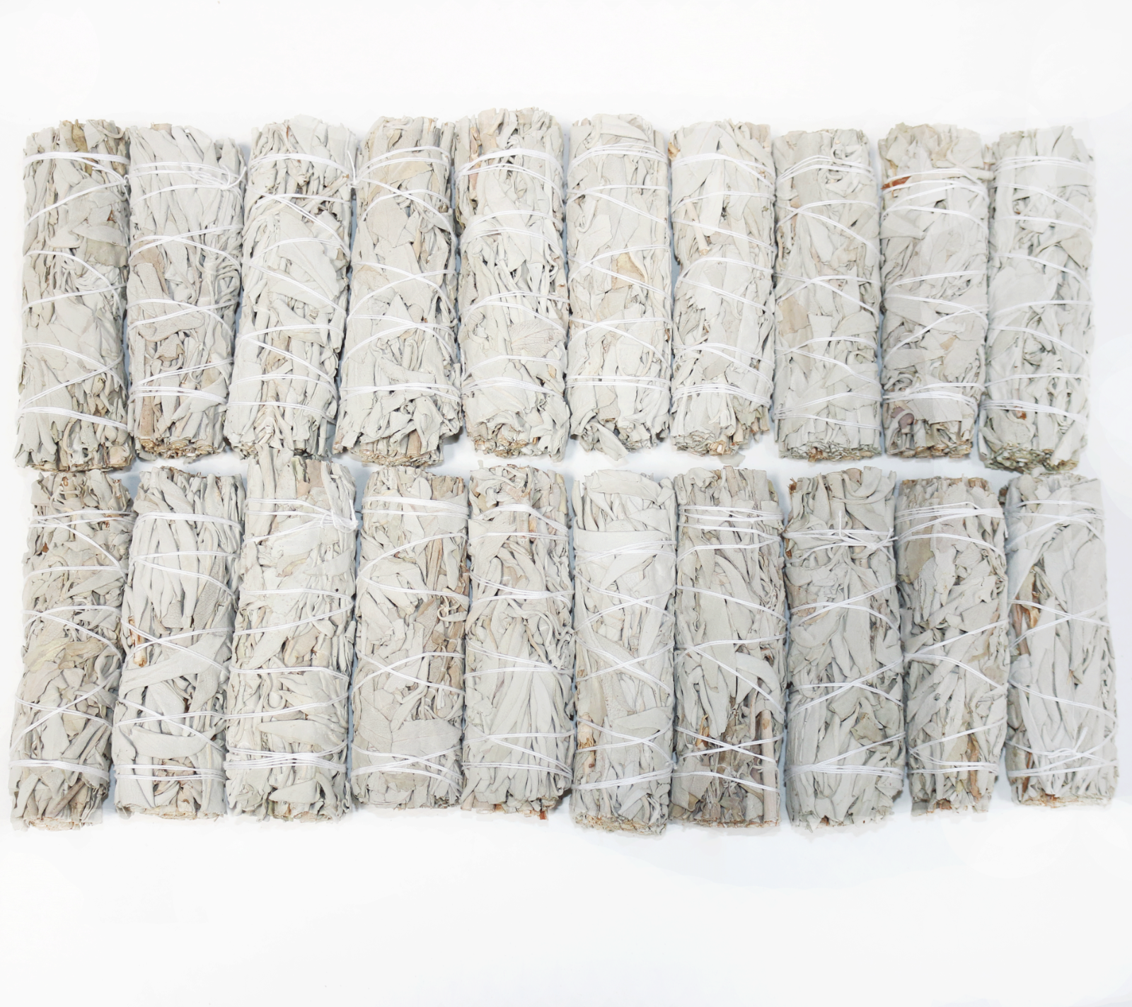 White Sage Smudge Sticks Wholesale Bulk Quantity 50 White Sage Smudge Wands