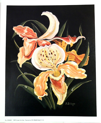 IRIS LILIES PICTURE  FLORAL STILL LIFE B. BILLINGS UNFRAMED PRINT8X10