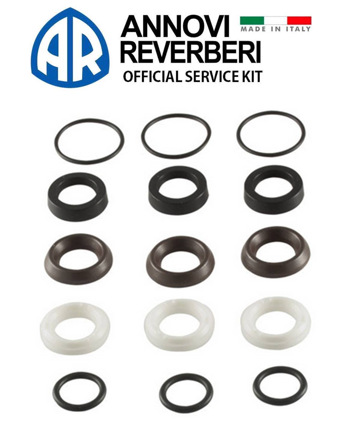 Annovi Reverberi AR2189 OEM Seal Kit for RSV Series Pumps AR