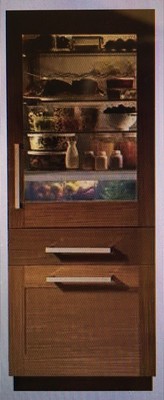 ZIK30GNDII MONOGRAM 30quot COLUMN REFRIGERATOR FREEZER W GLASS DOOR REFRIGERATOR