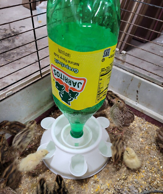 Poultry Chicken Waterer for Chicks Ducks Quail Compatible with Mason Jar/Bottle!