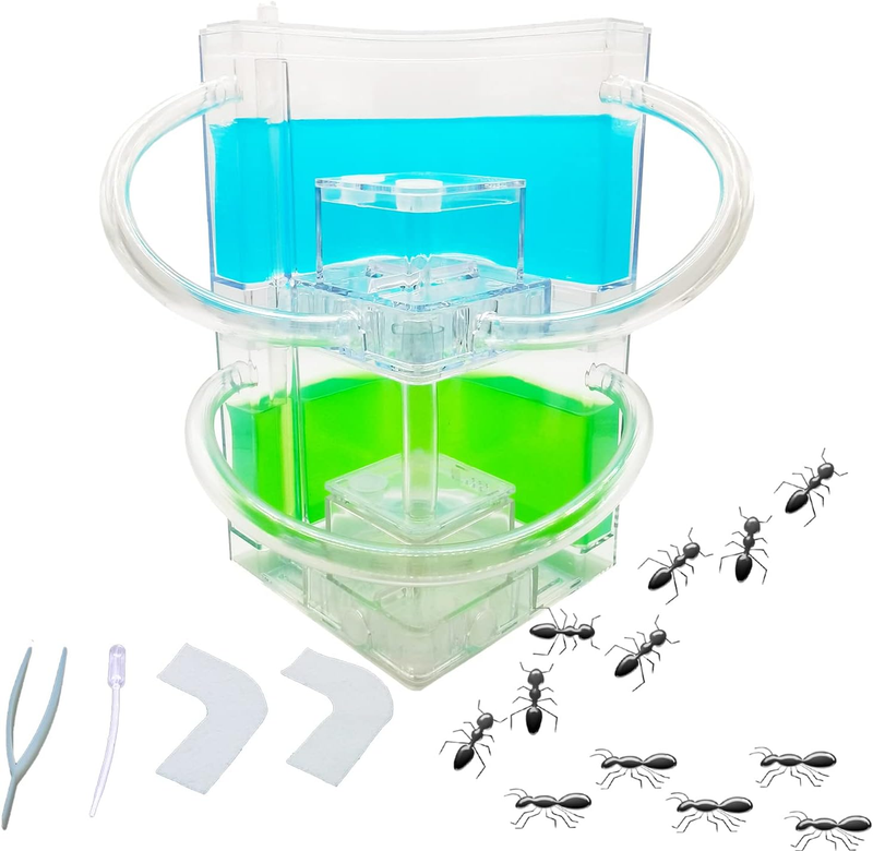 Ant Farm Kit For Kids With Sand Habitat & Ants Voucher - Educational ...