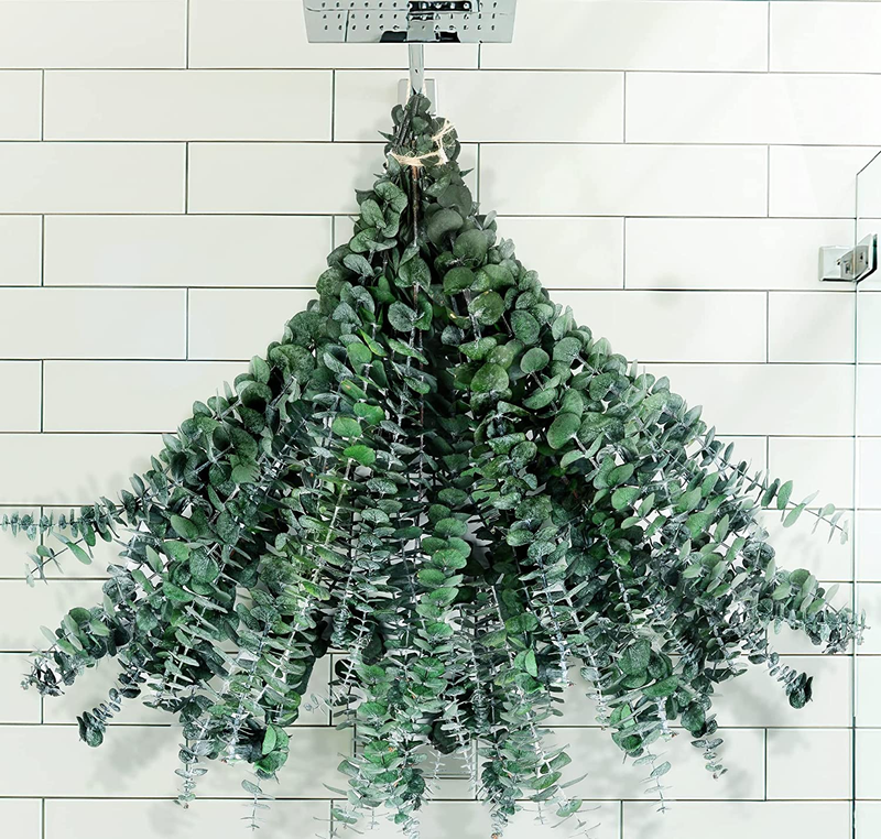 Large Package Dried Preserved Eucalyptus Stems Shower Bundle, 30 Pcs 17" 100% Na