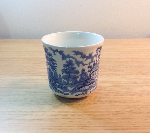 Vintage J + G Meakin Romantic England Anne Hathaway's Cottage Tea Cup