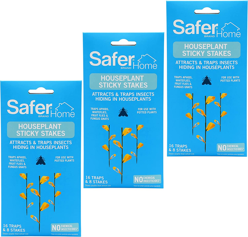 For Indoor Plants - 48 Traps Included - Co