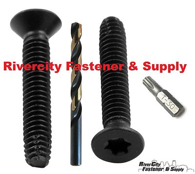 (100) 1/4-20 X 1-3/4'' TRAILER FLOOR FLOORBOARD DECK SCREWS T30 DRIVE With Bits