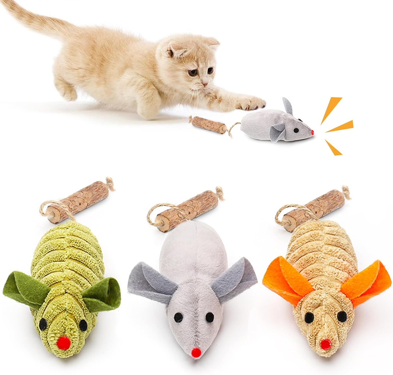 For Cat Kittens