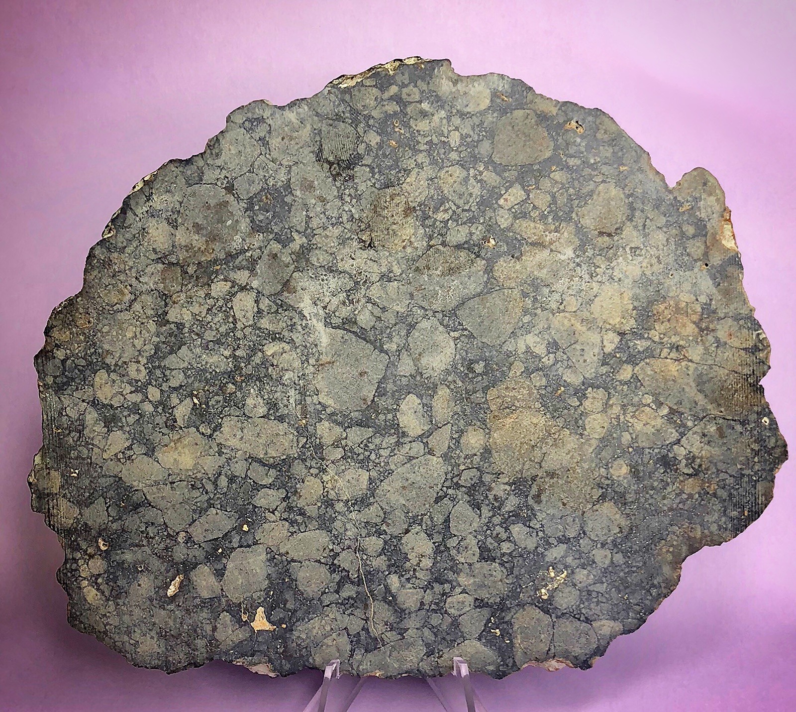 199.35g NWA 11786 Eucrite-mmict paired 2015 Jay Piatek Meteorite Collection HED