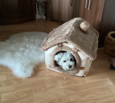 Artikelfoto(s) von einem verifizierten Käufer