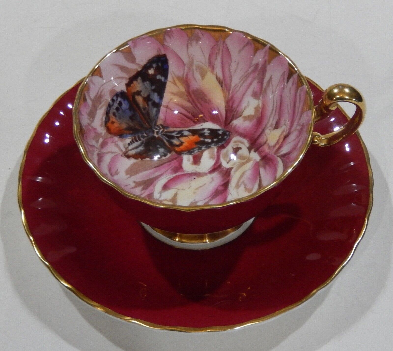 Ultra Rare AYNSLEY BUTTERFLY & PINK CHRYSANTHEMUM Cup Ultra Rare AYNSLEY BUTTERFLY & PINK CHRYSANTHEMUM Cup