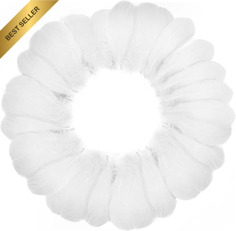 Heatunk 200 Pieces of White Feathers for Craft, Wedding, Home, and Party Decorat