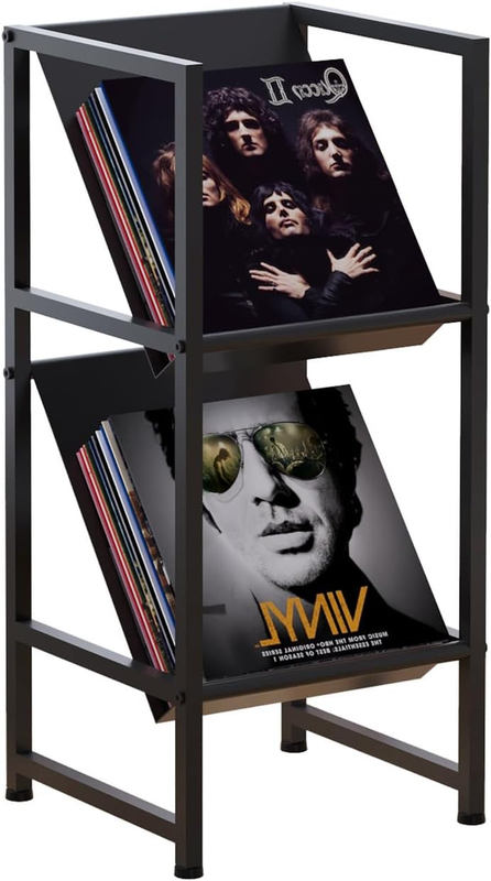 Conceptual Design Vinyl Record Storage, 2 Tier Black Metal Record Holder, Stylish Storage Solution for Your Collection