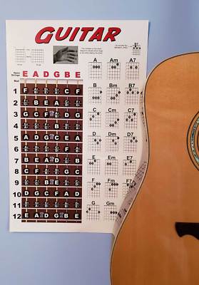 LAMINATED Guitar Fretboard Chord Chart Instructional Poster Beginner Chords 