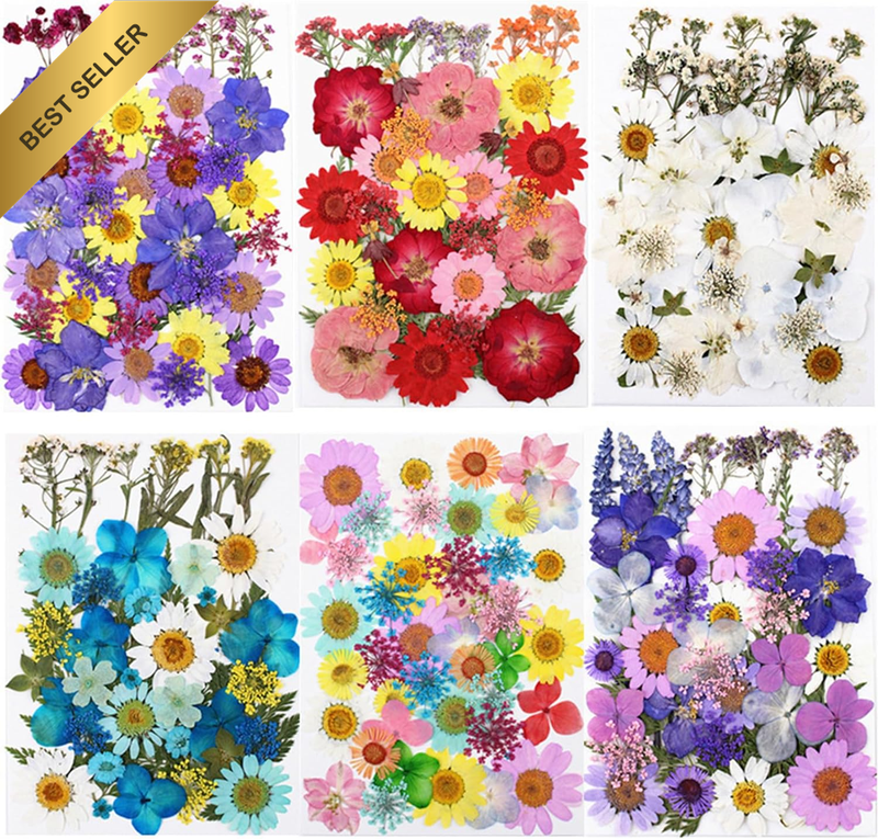 40 Pcs Dried Pressed Flowers for Resin Molds Real Pressed Flowers Dry Leaves Bul