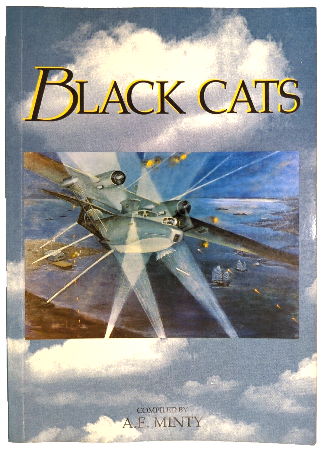 Black Cats: Australia's Long Range Catalina Strike Force by A.E. Minty