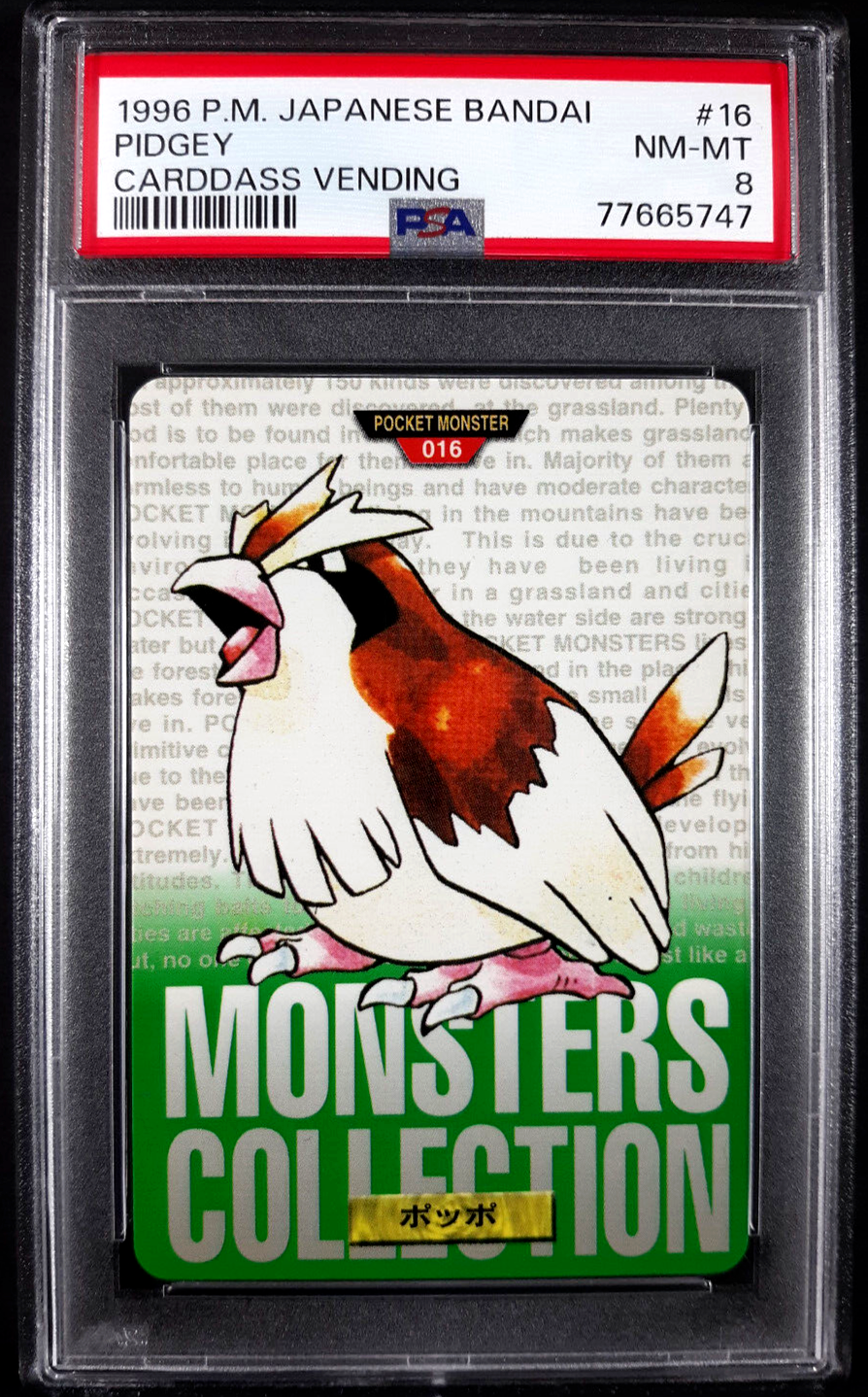 Pidgey PSA 8