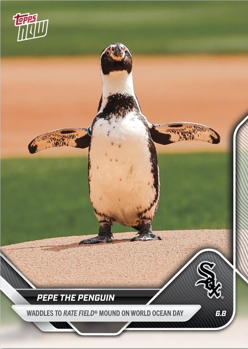 topps now カード ぺぺ  PEPE FCポルト UCL #57 topps now カード ぺぺ PEPE FCポルト UCL #57 Topps - topps