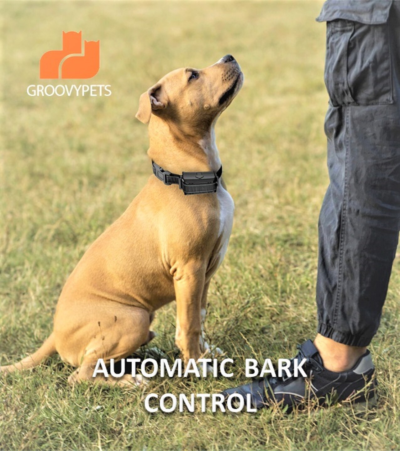 1100 YD Remote Dog Training Shock Collar  Auto Anti Bark Collar for All Dog Size