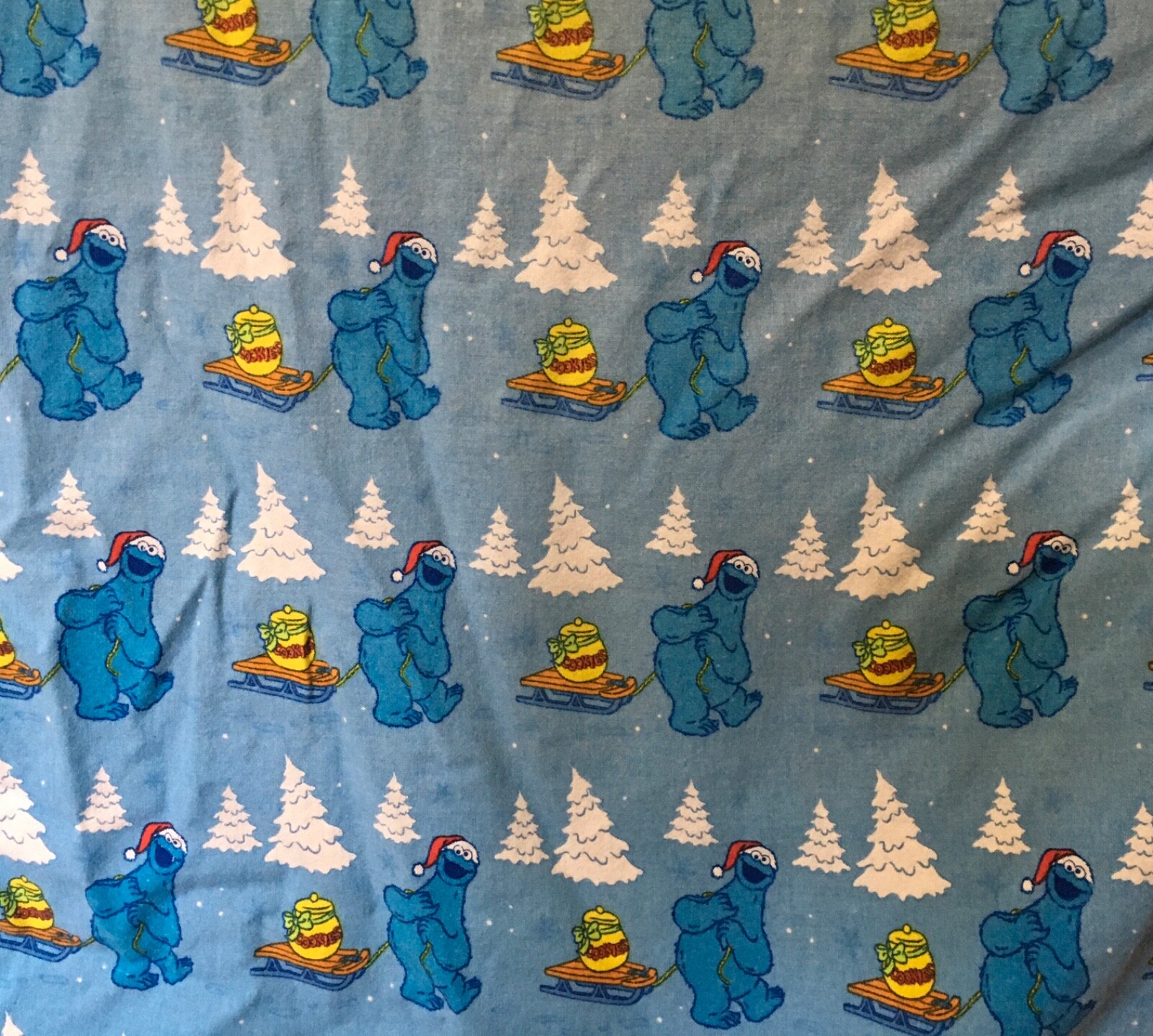 Sesame Street Cookie Monster Santa Hat 
