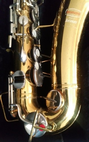 Buescher SELMER BUNDY Alto Saxophone-Played/Reconditioned w/ Case 1970's