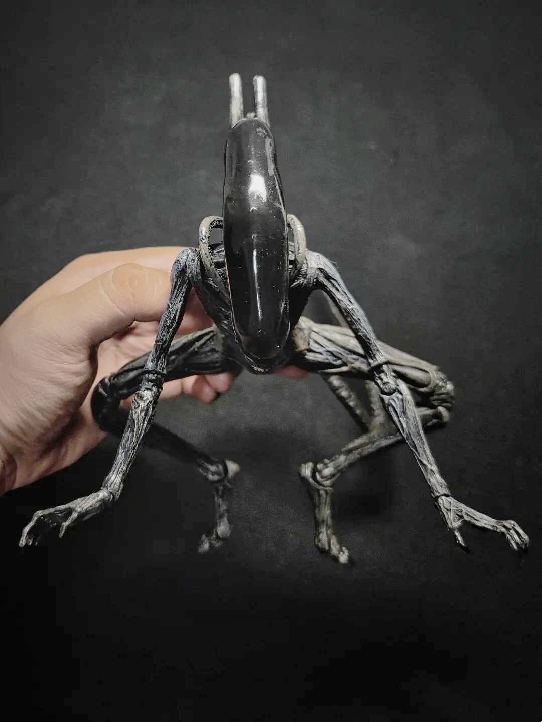 (未使用･未開封品)NECA Alien: Covenant - 7&quot; Scale Action Figure - Xenomorph Action Figure Amazon.com: NECA Alien: Covenant - 7