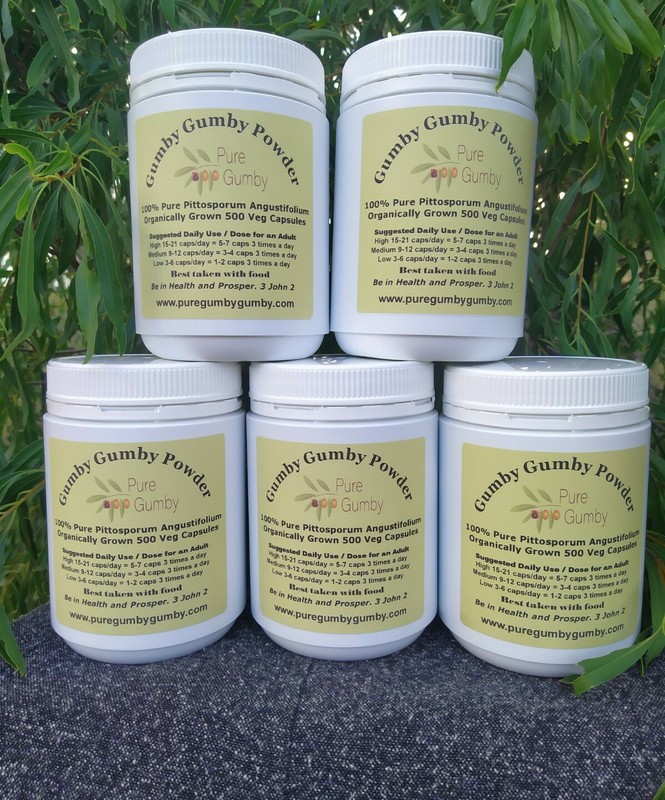 1,500 Veggie Caps $$$ Savings Gumbi Gumby Three Bottles Super Fine Powder 