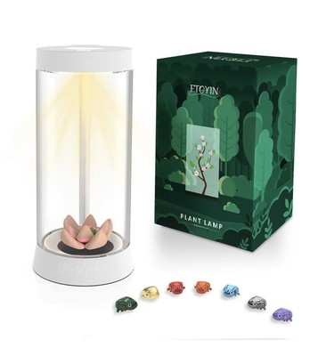 FTOYIN Jar Plant Light Full Spectrum Succulent Night Light Pot With Grow Light