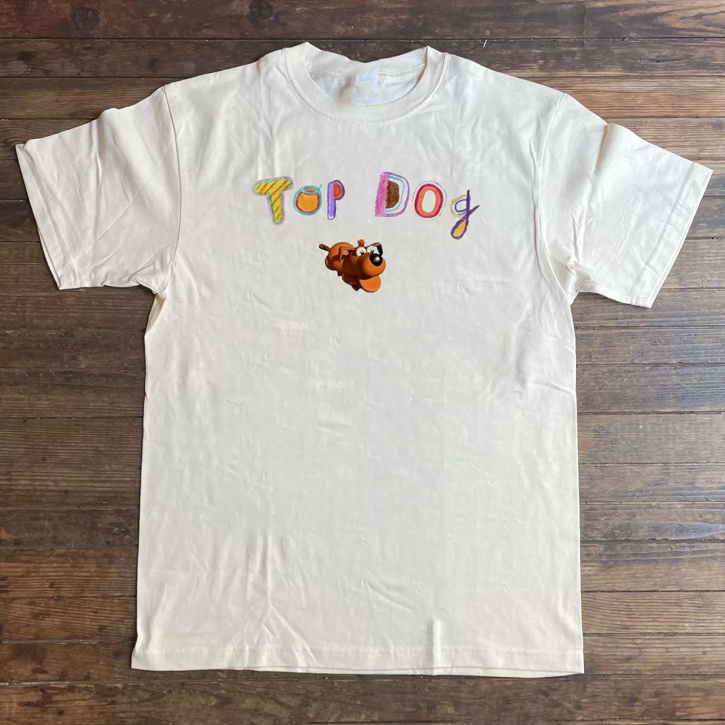 Clairo Charm Clairo Exclusive Immunity Album T Shirt Full