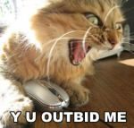 outbidingyou