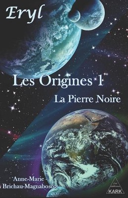 Eryl: Les Origines: La Pierre Noire by Florence Brichau-Prado Paperback Book