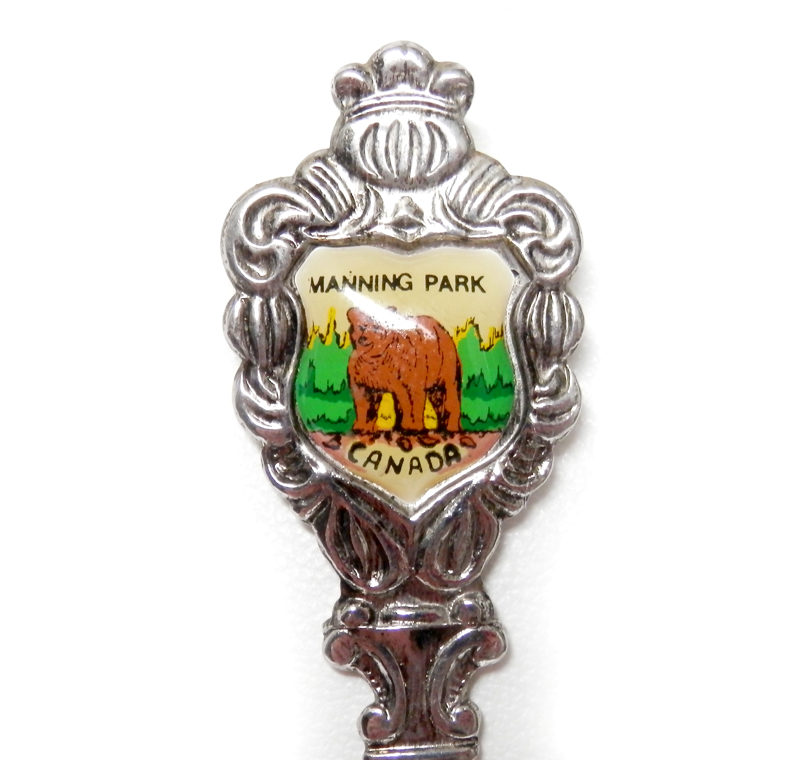Vintage British Columbia CANADA Souvenir Spoon Dogwood Flowers Manning Park 5