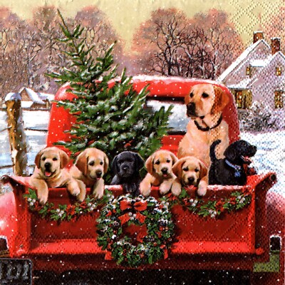 Serviettes en papier Noël chiens-chiots Labrador/Golden. Napkins Christmas dogs