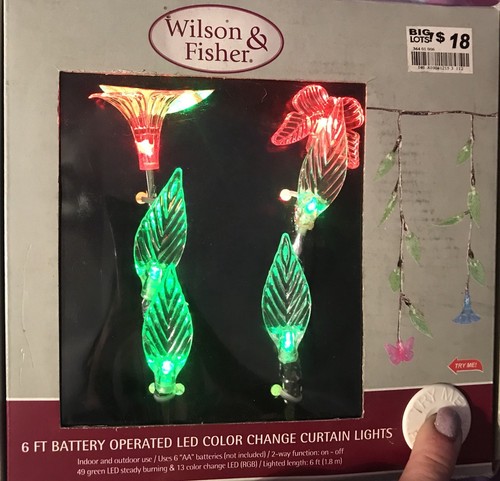 2 Wilson & Fisher 6ft. Each Set Color Change LED StrIng Light Inside/Outside