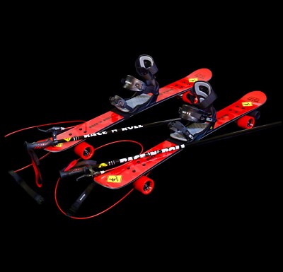 Race-n-Roll Street Ski Training System