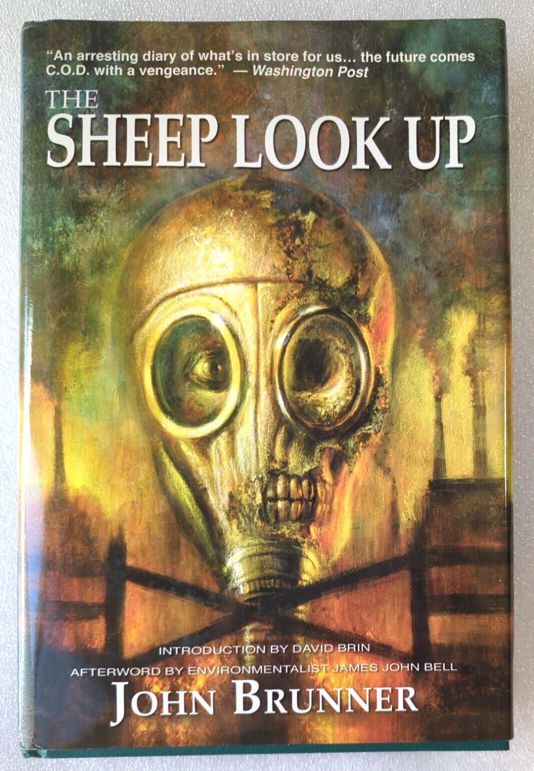 Preview of The Sheep Look Up