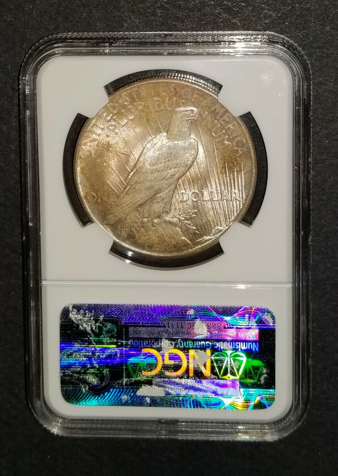 1925 P Silver Peace Dollar MS64 Beautiful Toning Obverse & Reverse